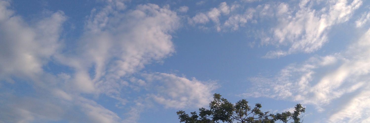 minismy_'s profile banner image