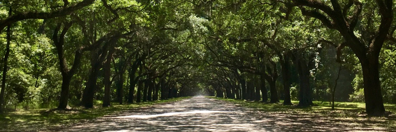 AndrewMonell's profile banner image