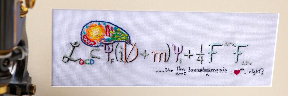 EliseTweetsBio's profile banner image