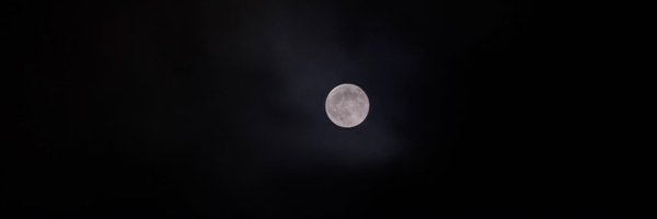 fig4n Profile Banner