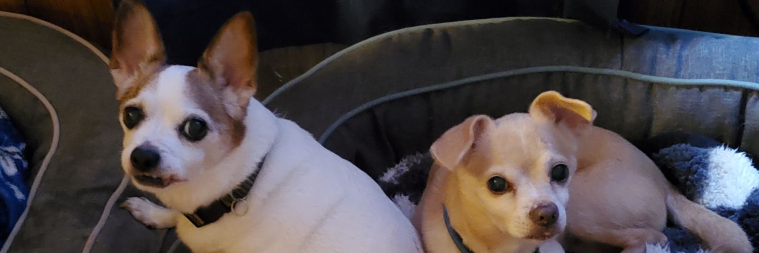 MRmichaelrogers's profile banner image