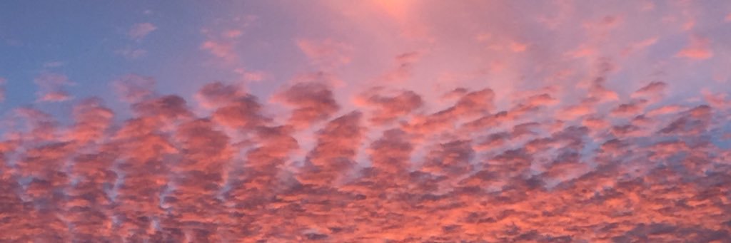 agoldie_'s profile banner image