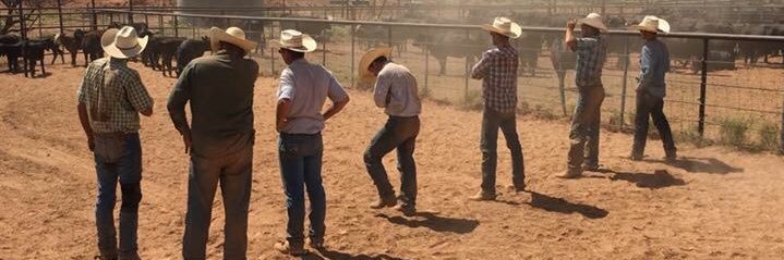 lane_waldrop's profile banner image