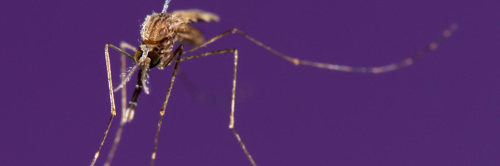 Kristin Michel banner