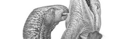 sgwking's profile banner image