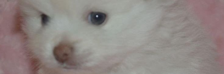 Alexre40's profile banner image