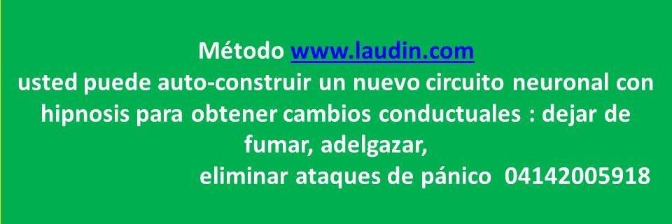 laudin's profile banner image