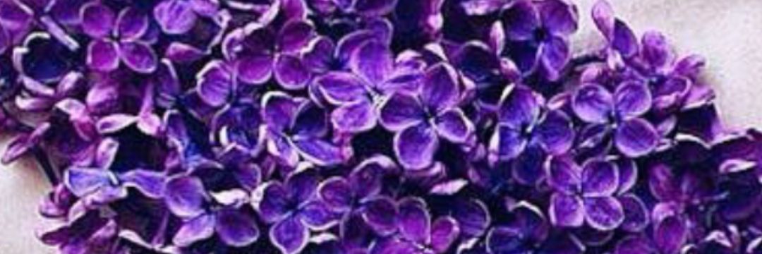 am_12323's profile banner image