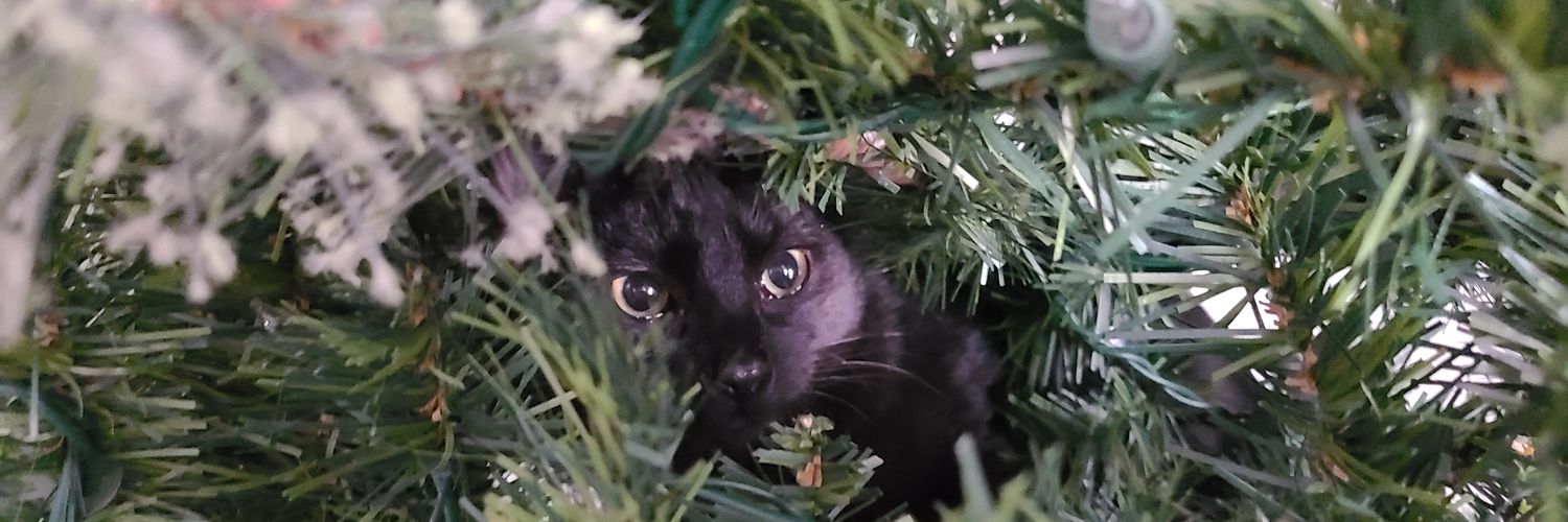karlakester's profile banner image