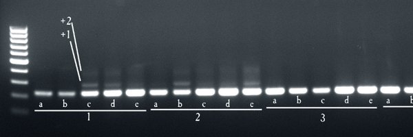 VHoikkala Profile Banner