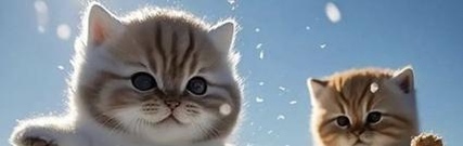 kelson_mobile's profile banner image