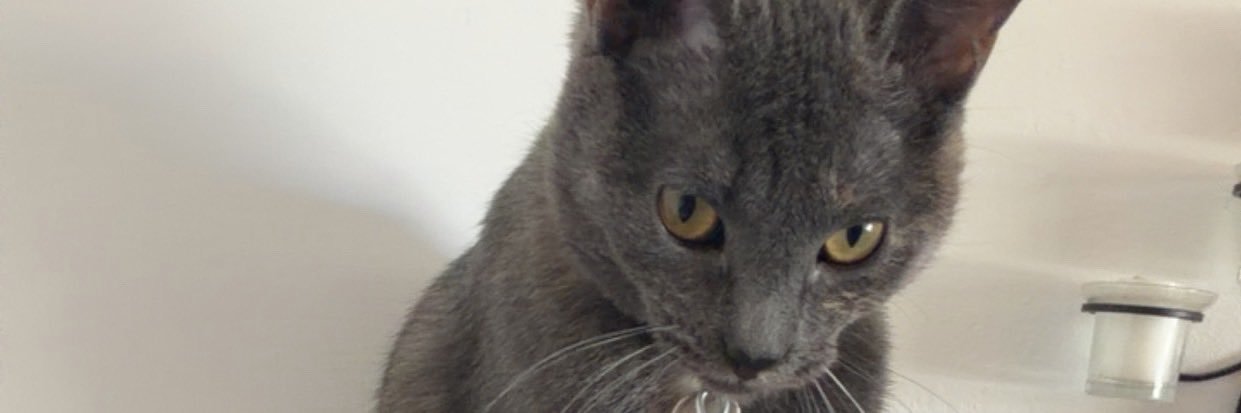 JennLynnelle's profile banner image