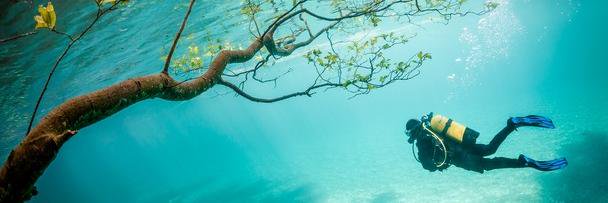 funkycerebral banner