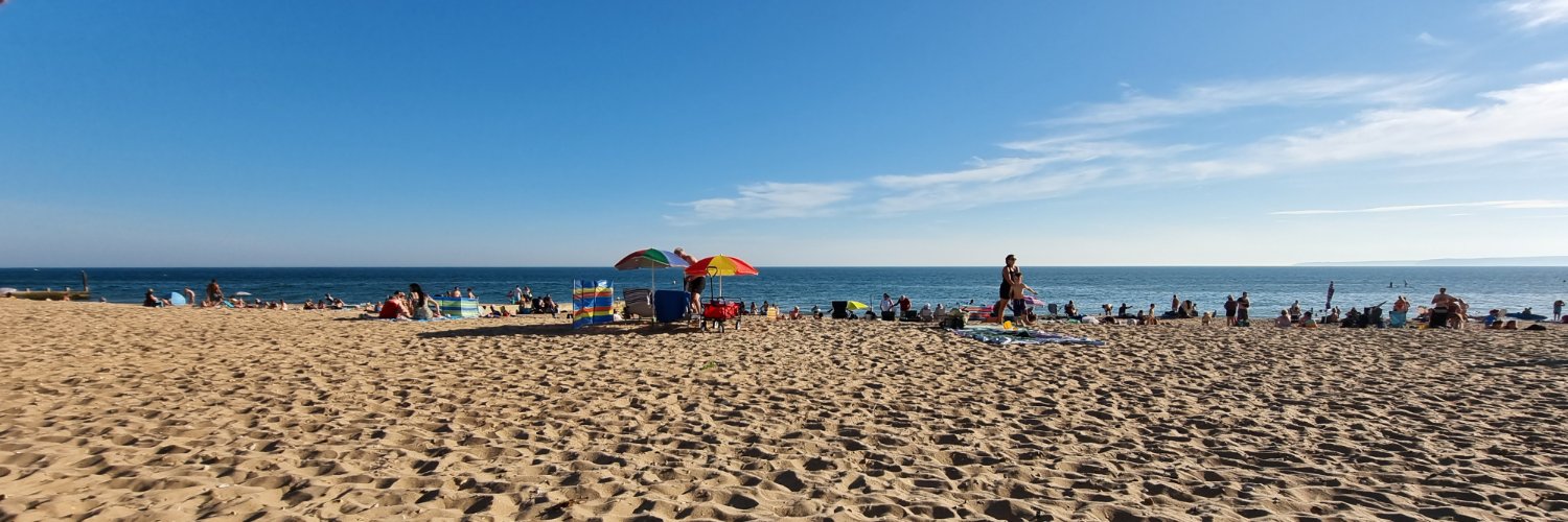 Zbyszek Swirski banner