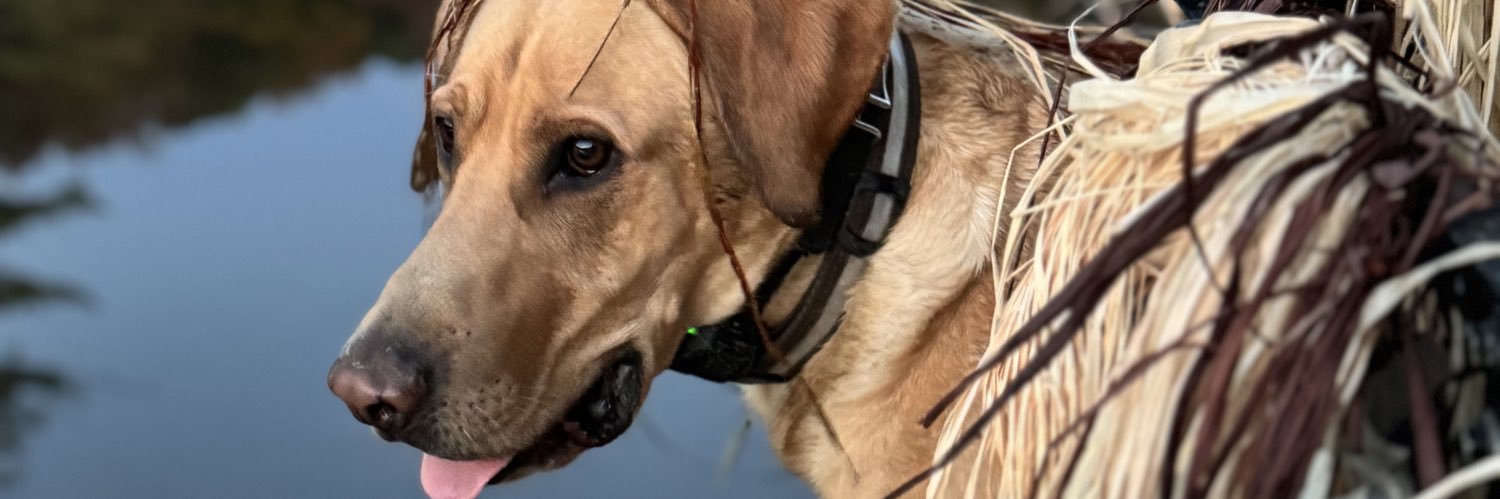 Klomes's profile banner image