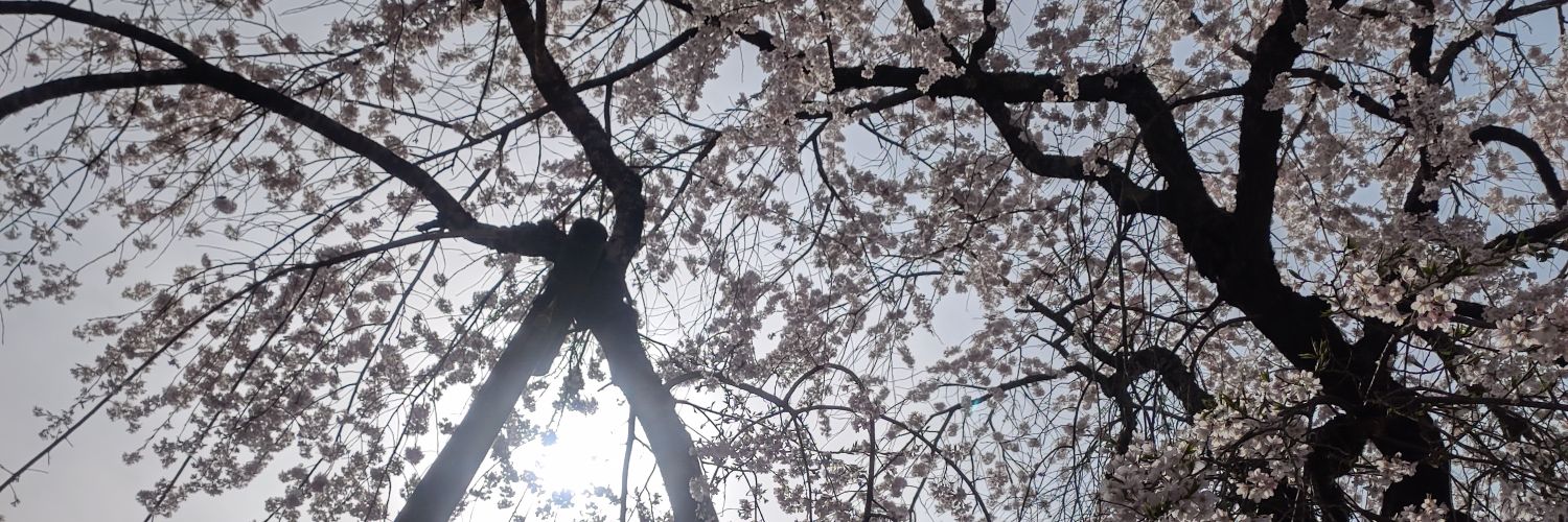 hiroton0203's profile banner image