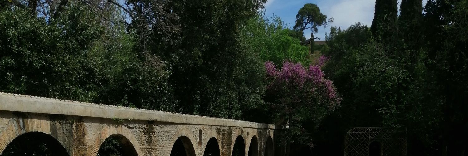 FerVS13's profile banner image