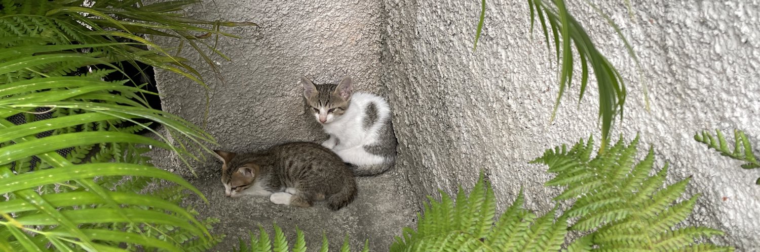 Charlenne Kayla R. (李滋羿) banner