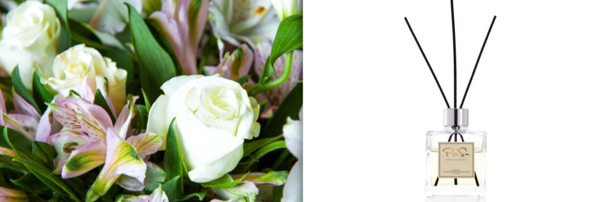 PriSu_Eco's profile banner image