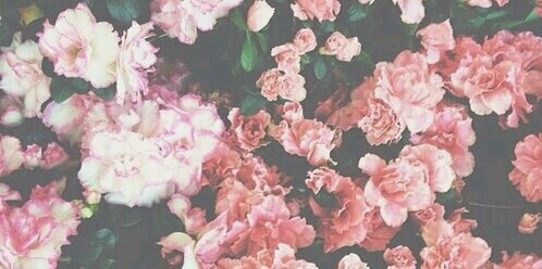 Anoukx01's profile banner image