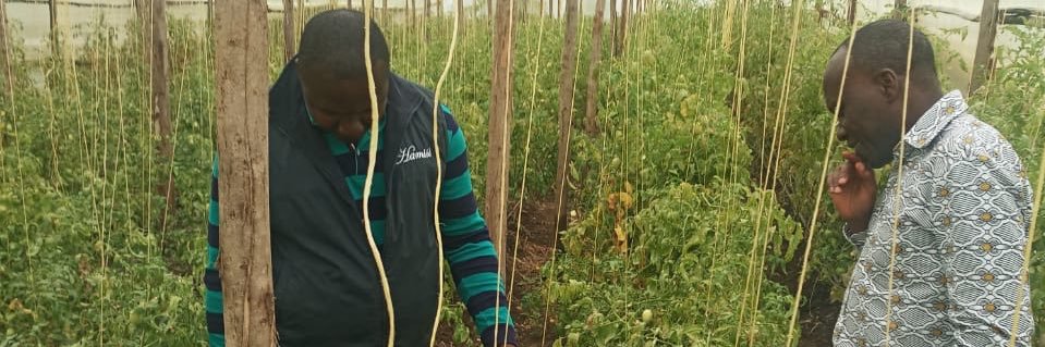 Hamisi Williams banner