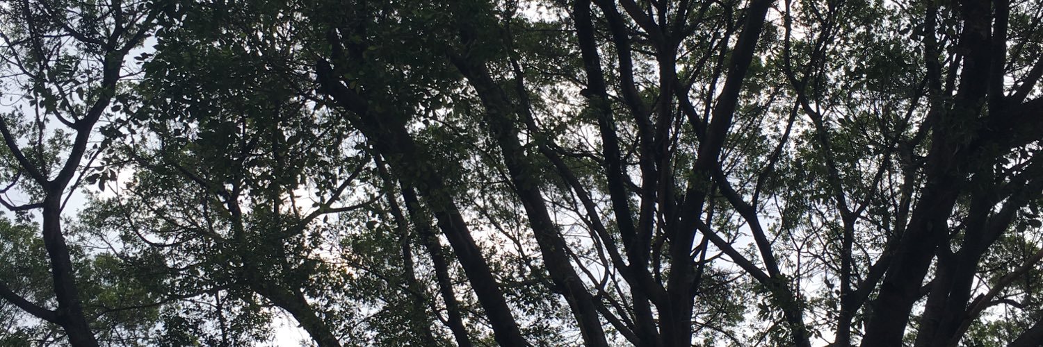 Javier Audirac banner