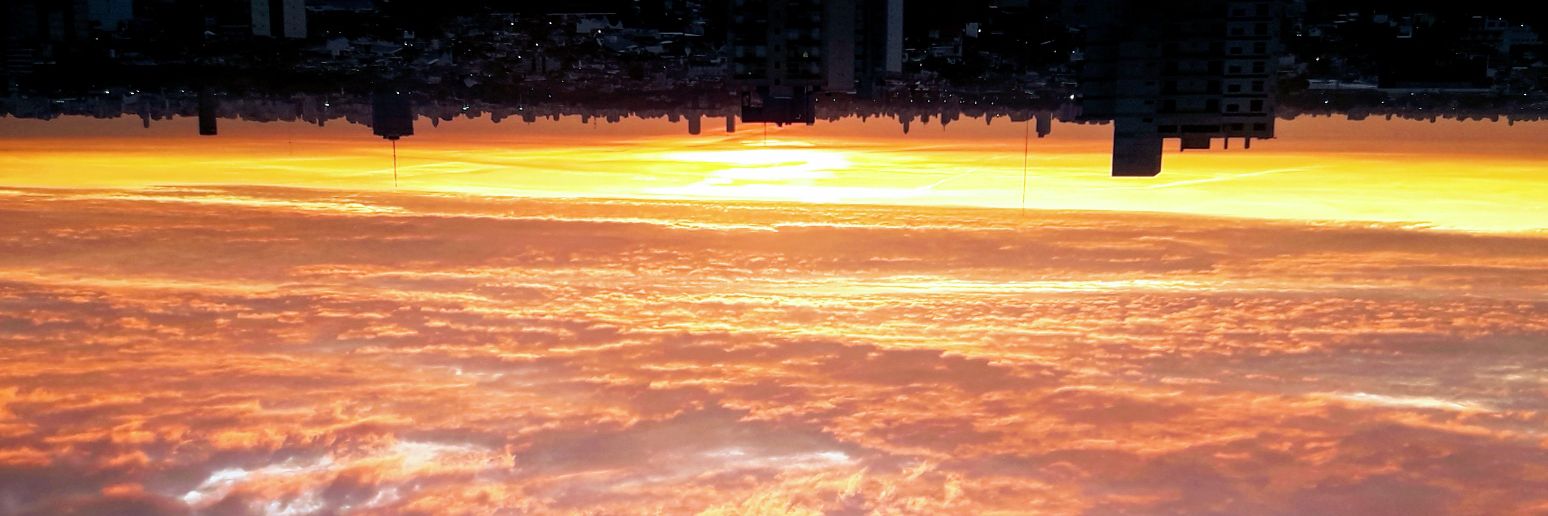 markus_pfr's profile banner image