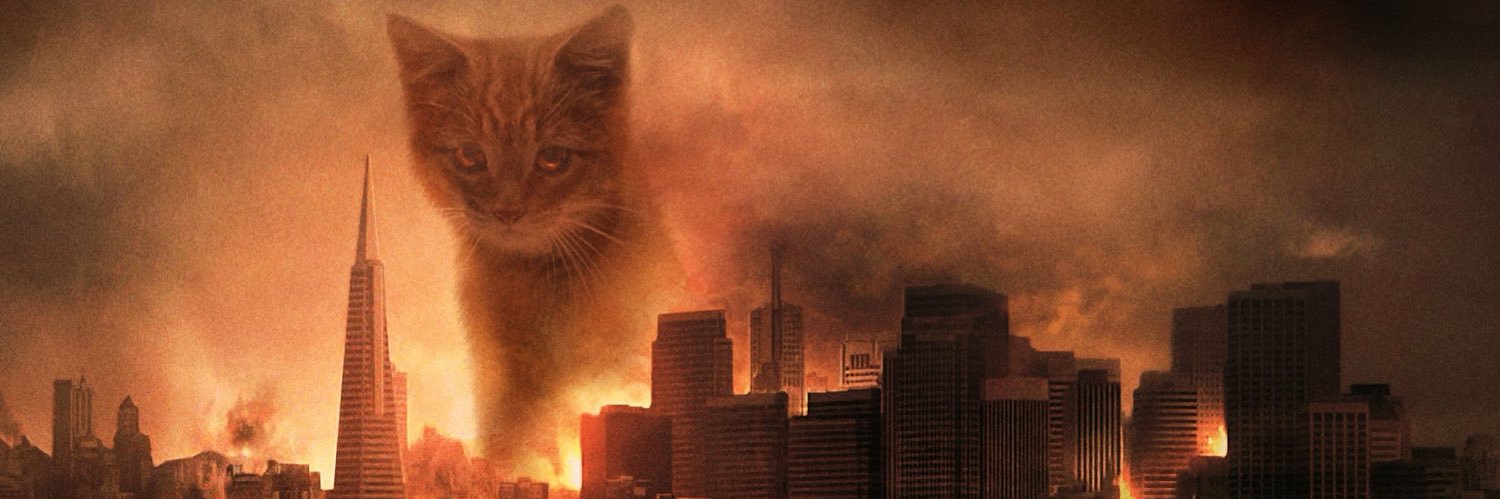 LordGatoKnows's profile banner image