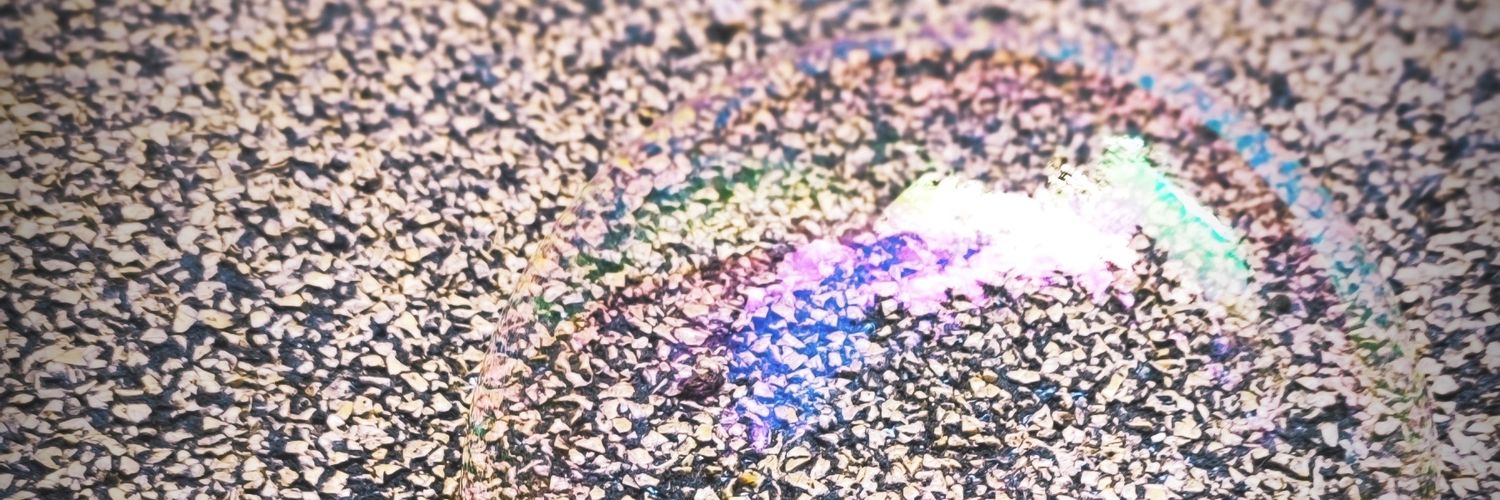 SandraFitussi's profile banner image