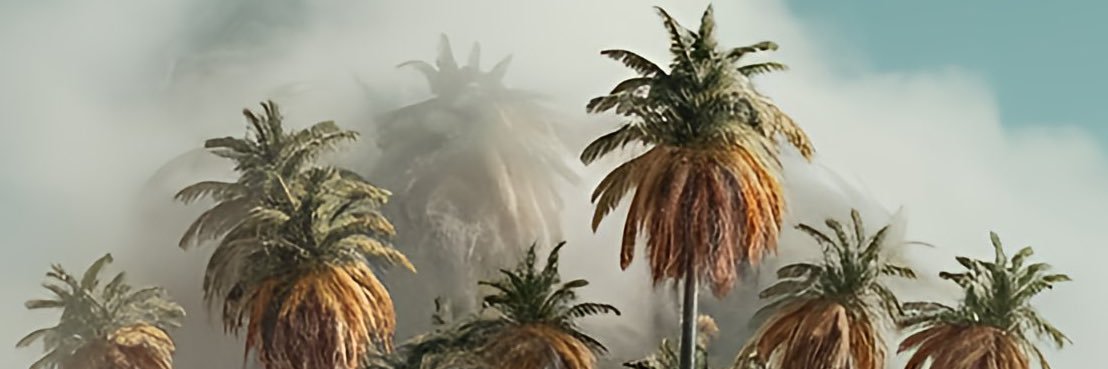 kelsobot's profile banner image