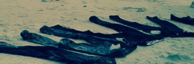 channu314's profile banner image