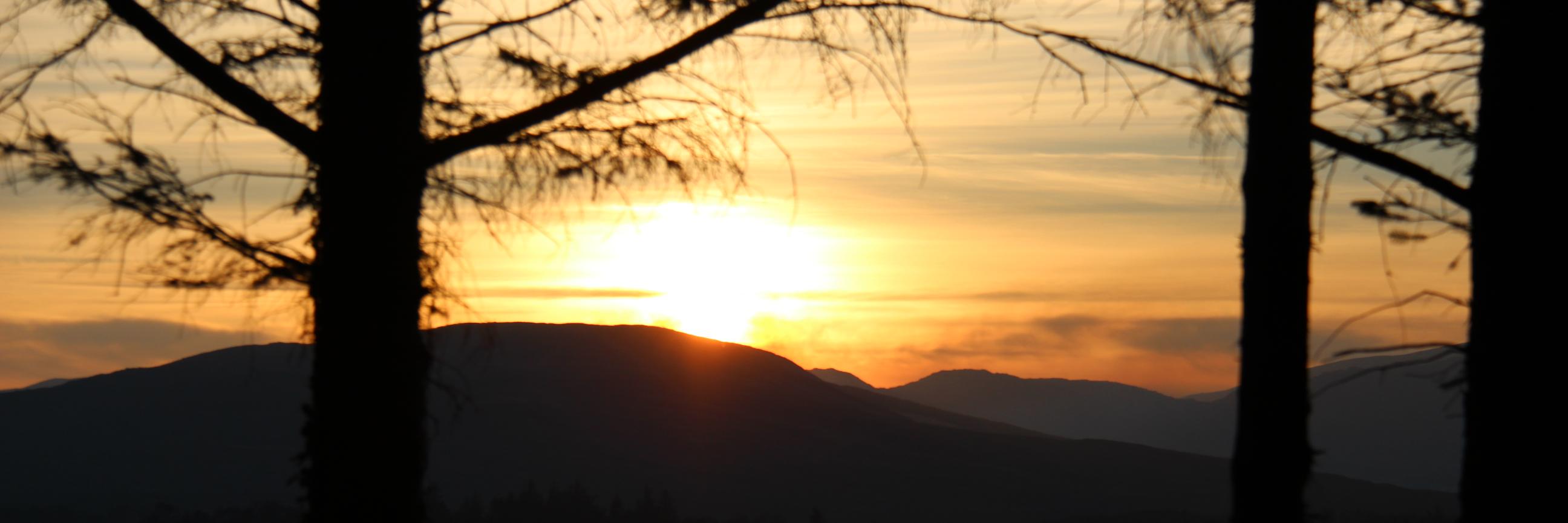 elaineg7's profile banner image