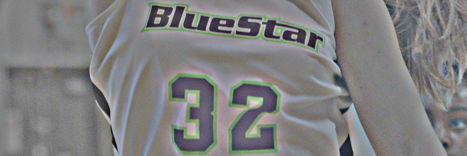 Blue Star Girl Teams banner