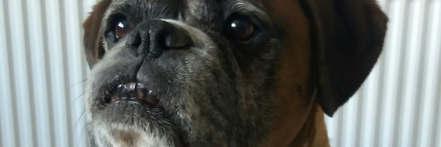 markwaite1's profile banner image