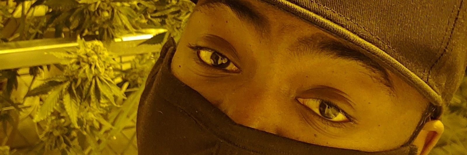 Purpledoom313's profile banner image