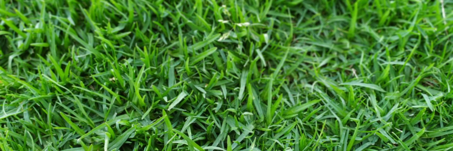 MphoXAphane's profile banner image