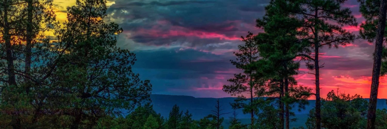 shayrylee15's profile banner image