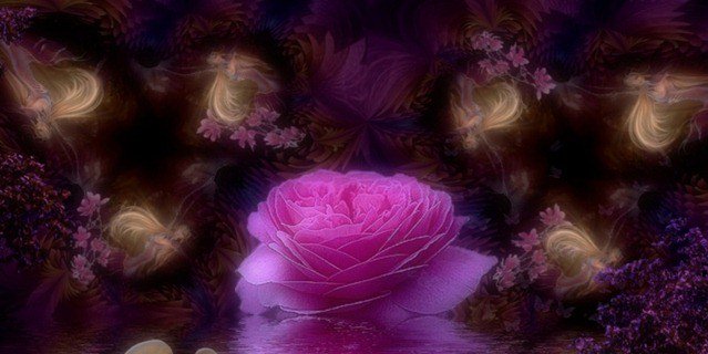 SushmitaDeb3's profile banner image
