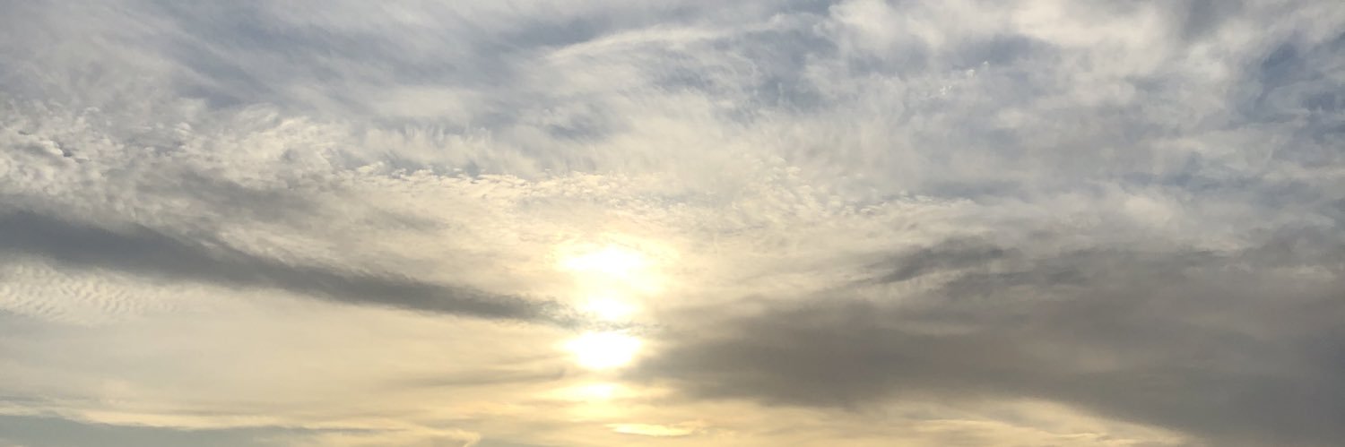 NathalieFallaha's profile banner image