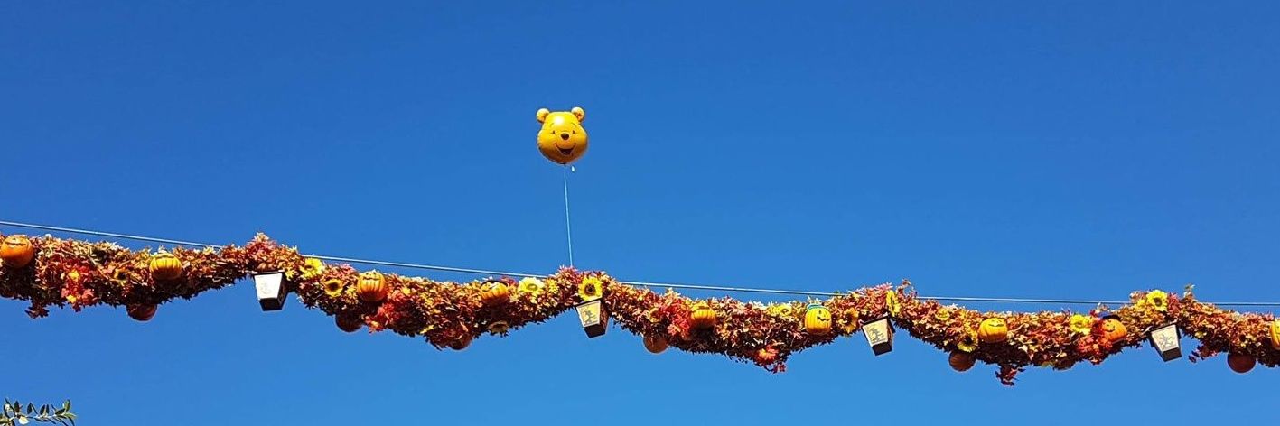 Pattie Whitehead banner