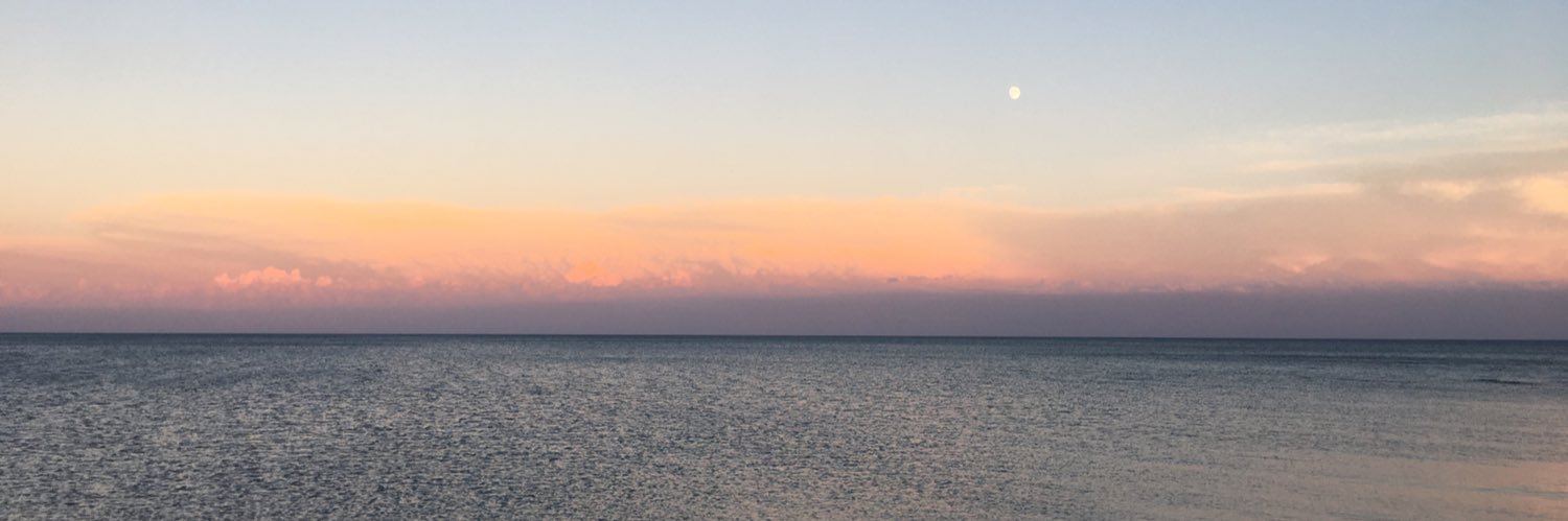 Robin Edwards banner