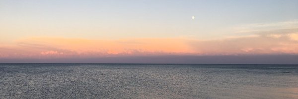 shopwithrobin Profile Banner