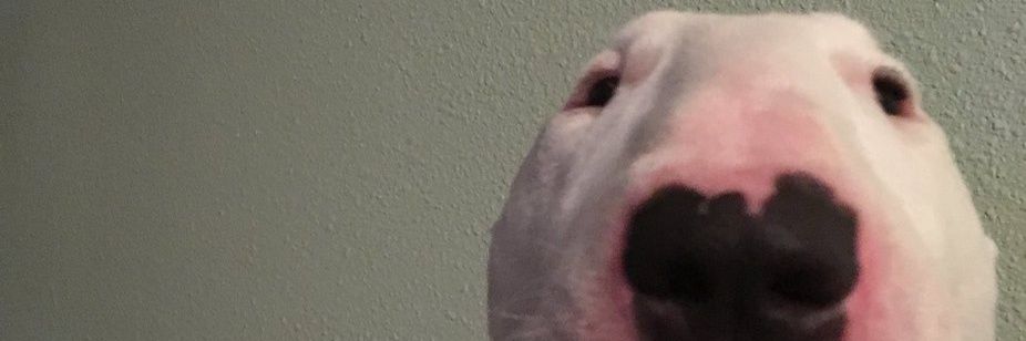 ɹǝdsɐſ banner