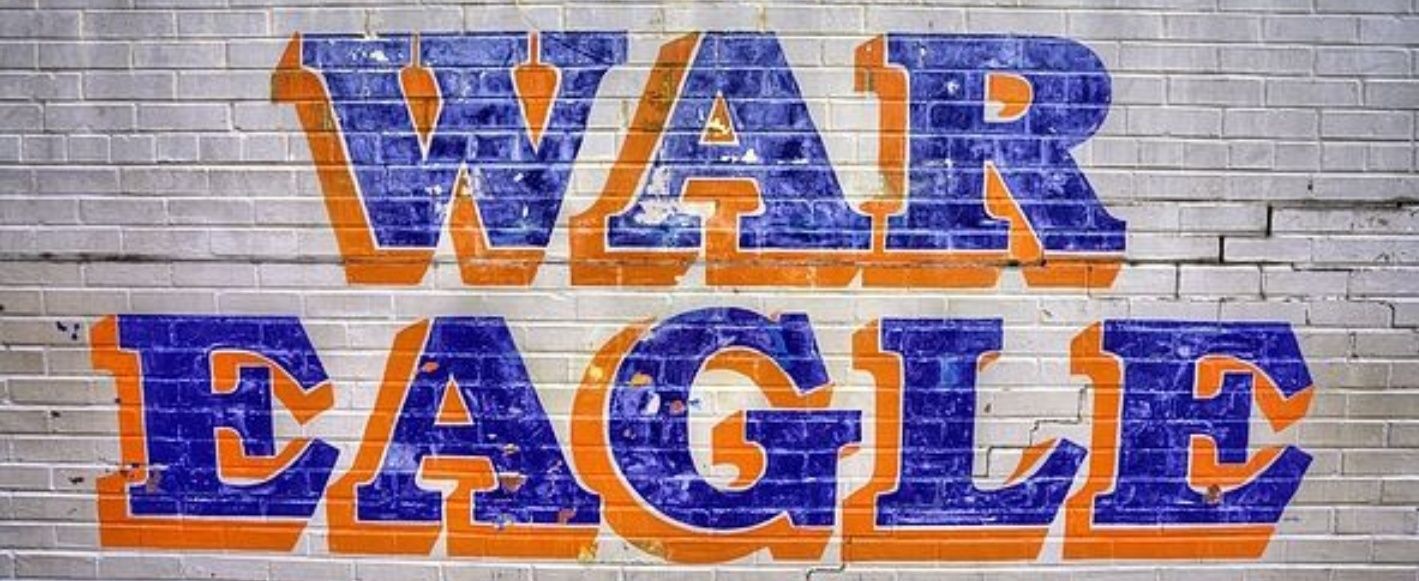 ChaseIngram's profile banner image