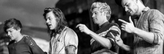 narrybeingcutee's profile banner image