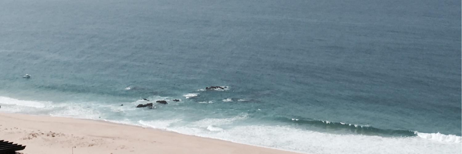 robin detrude banner