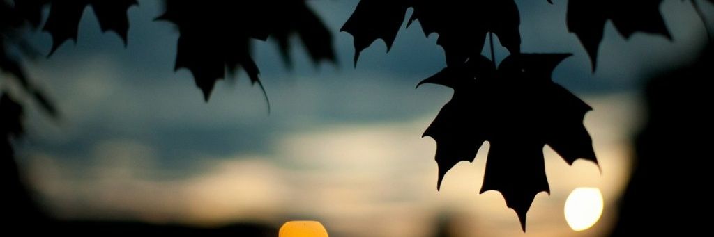 Bueno260's profile banner image