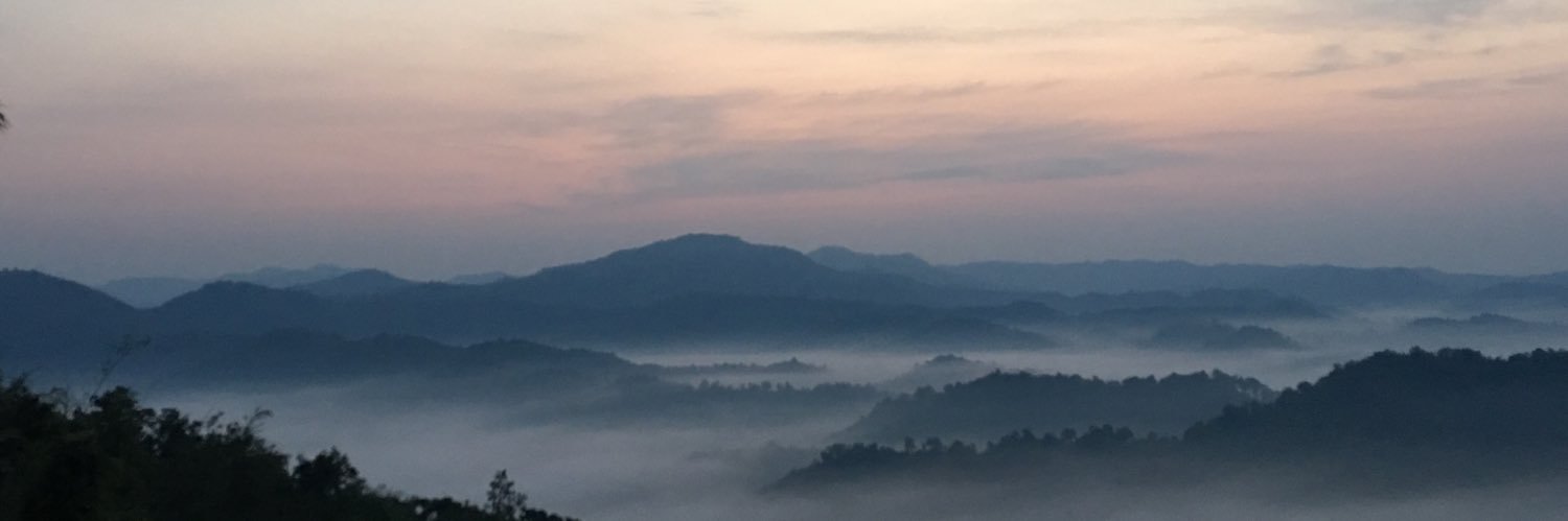 PimPimdao's profile banner image