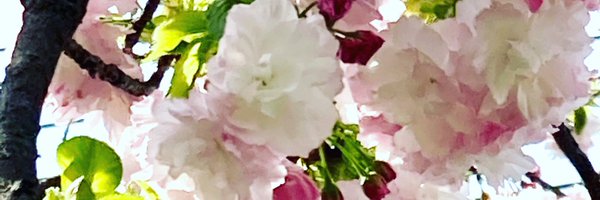 Matilda Profile Banner