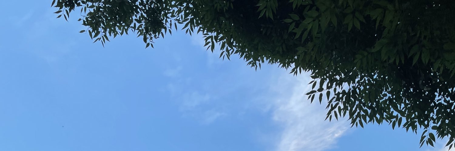 loveri_bbilu's profile banner image